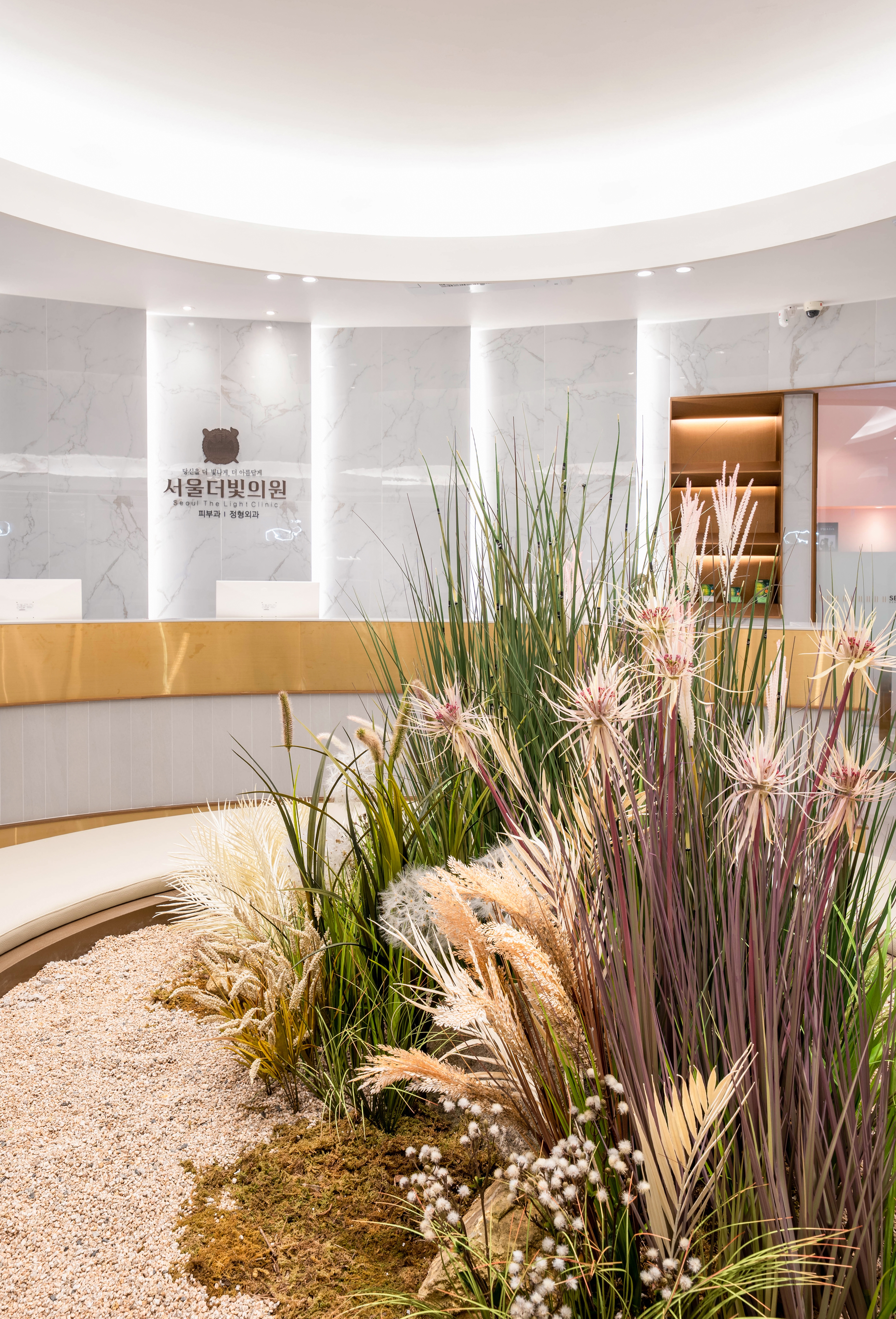 노꼬메스튜디오_서울더빛의원_인테리어 촬영_07.jpg